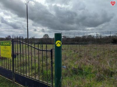 For sale Guerche-sur-l'aubois 1000 m2 Cher (18150) photo 3