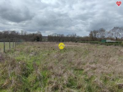 For sale Guerche-sur-l'aubois 1000 m2 Cher (18150) photo 4