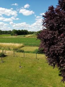 Louer Maison 83 m2 Vieville