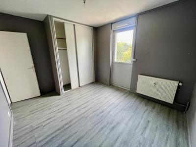 Louer Appartement Nogent 508 euros