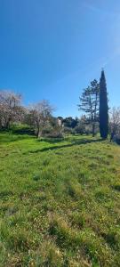 Annonce Vente Terrain  84