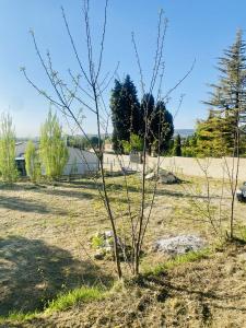 For sale PROCHE VILLAGE 1000 m2 Vaucluse (84110) photo 0