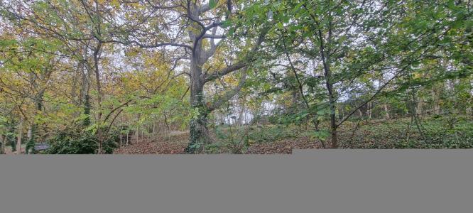 Acheter Maison  Loir et cher