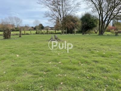 Annonce Vente Terrain Steenwerck 59