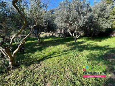 For sale Plan-de-la-tour 5 rooms 164 m2 Var (83120) photo 1