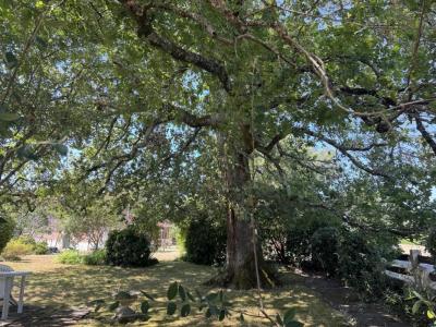 Acheter Maison 92 m2 Pontenx-les-forges