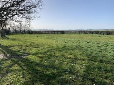 For sale Pibrac 745 m2 Haute garonne (31820) photo 0