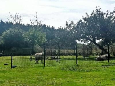 For sale Lesconil 8 rooms 188 m2 Finistere (29740) photo 0