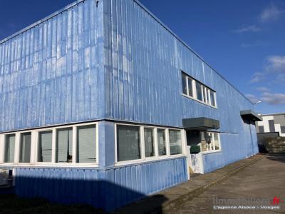 Annonce Vente Commerce Champigneulles 54