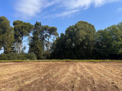 Annonce Vente Terrain Carpentras 84