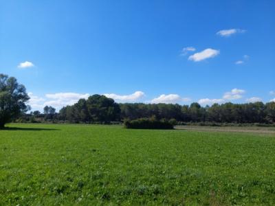 For sale Alleins 420 m2 Bouches du Rhone (13980) photo 0