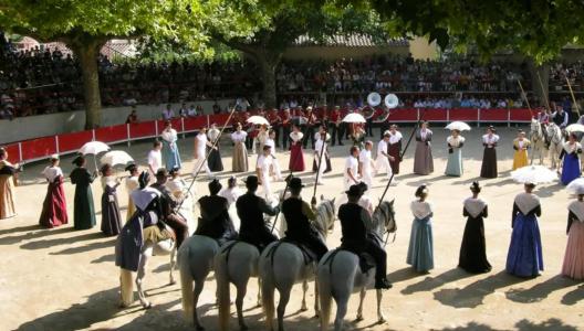 For sale Noves 360 m2 Bouches du Rhone (13550) photo 0