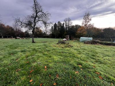 Acheter Terrain 2033 m2 Bonnevent-velloreille