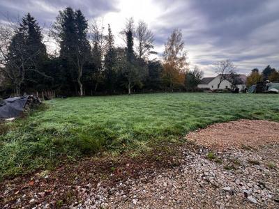 Acheter Terrain Bonnevent-velloreille 75000 euros