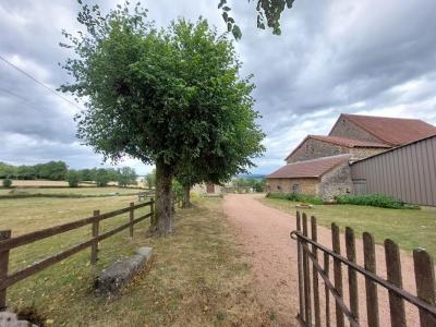 Acheter Maison Saint-laurent-en-brionnais 675000 euros