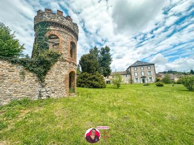 Acheter Maison 868 m2 Issoire