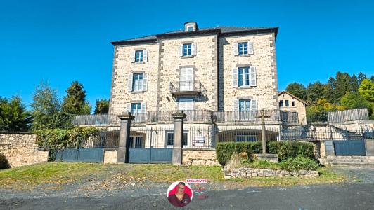 Acheter Maison Issoire 490000 euros