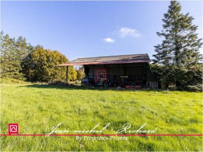 Acheter Terrain Gy-en-sologne 520000 euros