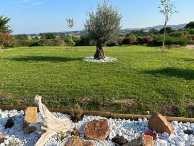 Acheter Maison 174 m2 Feurs