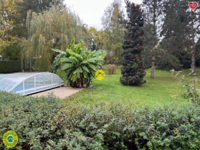 Annonce Vente Prestige Cheroy 89