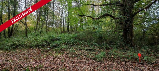 Acheter Terrain Chapelle-des-pots Charente maritime