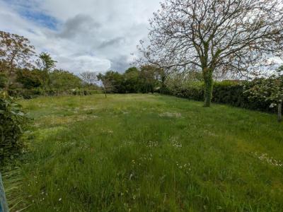 Acheter Terrain Parce-sur-sarthe Sarthe