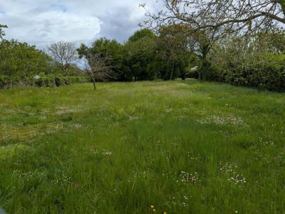 Acheter Terrain Parce-sur-sarthe 49000 euros