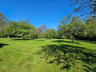 For sale Moitron-sur-sarthe 5 rooms 130 m2 Sarthe (72170) photo 3