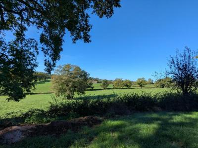 Annonce Vente 7 pices Maison Gramat 46