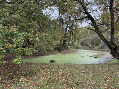 Annonce Vente Prestige Langon 41