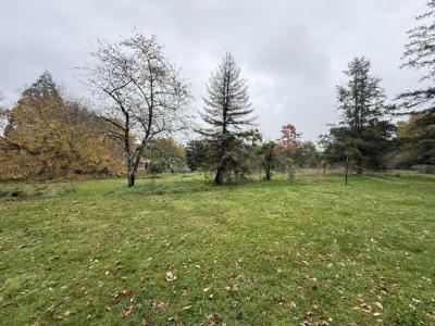 Acheter Prestige 280 m2 Langon