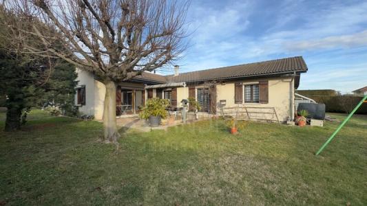 Annonce Vente 7 pices Maison Gillonnay 38