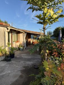 Annonce Vente 5 pices Maison Saverdun 09