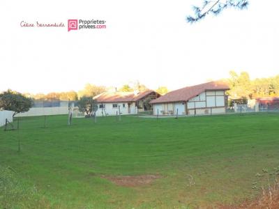 Annonce Vente 4 pices Maison Villenave 40