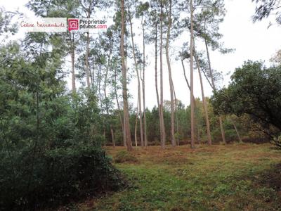 For sale Hinx 3 rooms 60 m2 Landes (40180) photo 3