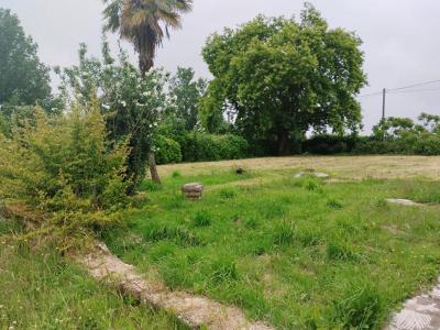 Annonce Vente Maison Saint-tugdual 56