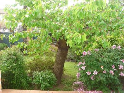 Annonce Location 5 pices Maison Toulouse 31