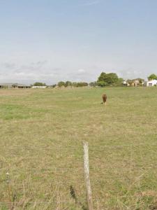 Annonce Vente Terrain Saint-xandre 17