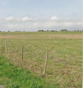 Acheter Terrain 276 m2 Saint-xandre