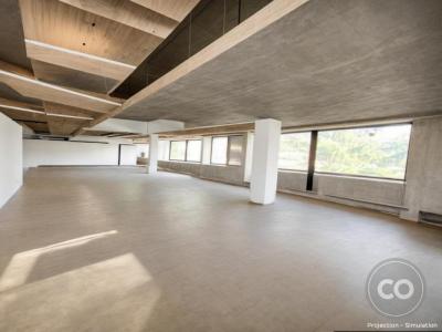 For rent Saint-cloud 270 m2 Hauts de Seine (92210) photo 2