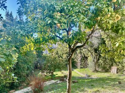 Acheter Maison Nice 1590000 euros