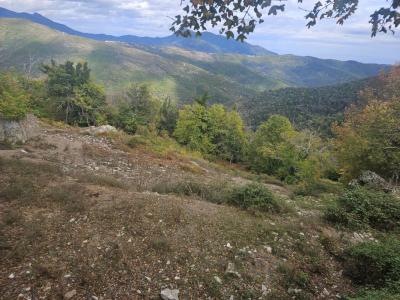 Annonce Vente Terrain Pietraserena 20