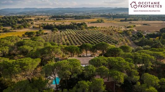 Annonce Vente Prestige Carcassonne 11