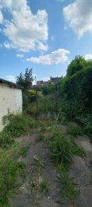 Acheter Maison 64 m2 Billy-montigny