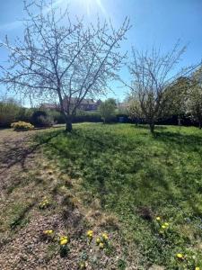 Acheter Maison Oignies Pas de calais