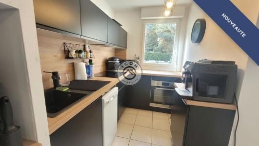 Annonce Vente 3 pices Appartement Saint-perdon 40