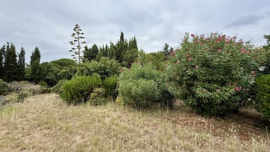For sale Centre 456 m2 Herault (34120) photo 0