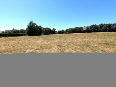 Annonce Vente Terrain  42