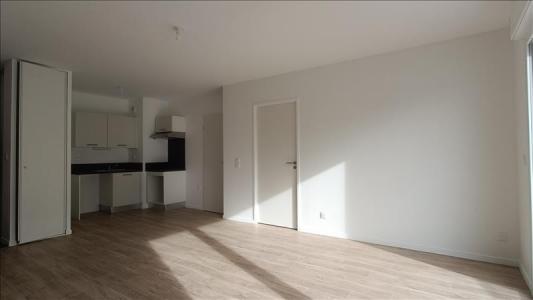 Louer Appartement 46 m2 Pluneret