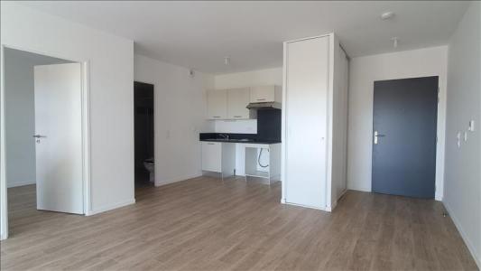 Annonce Location 2 pices Appartement Pluneret 56
